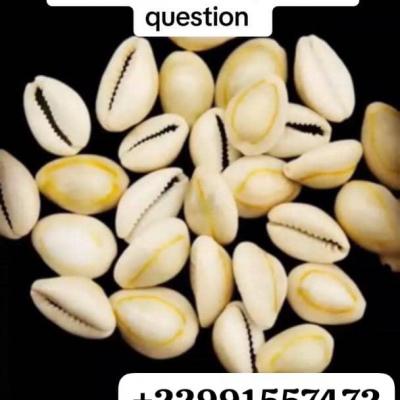 Consultation Gratuite en Ligne avec Le Grand Meilleur Medium Marabout Papa Onigbo.